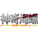 神奇海螺 ( Magic Conch)