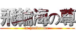 飛輪海の尊 (is handsome )