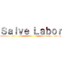 Ｓａｌｖｅ Ｌａｂｏｒ ()