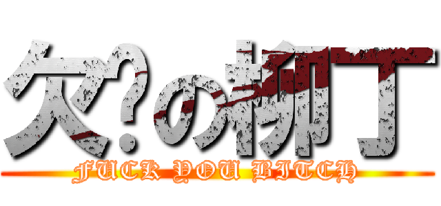 欠揍の柳丁 (FUCK YOU BITCH)