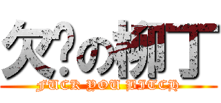 欠揍の柳丁 (FUCK YOU BITCH)