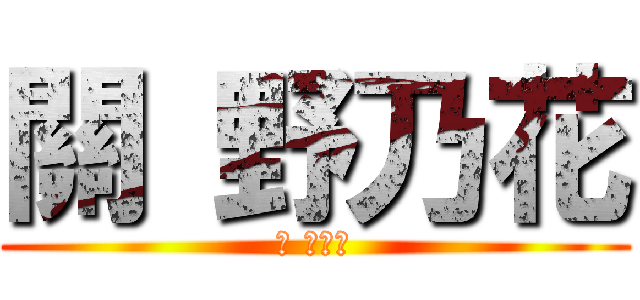 關 野乃花 (關 野乃花)