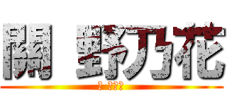 關 野乃花 (關 野乃花)