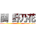 關 野乃花 (關 野乃花)