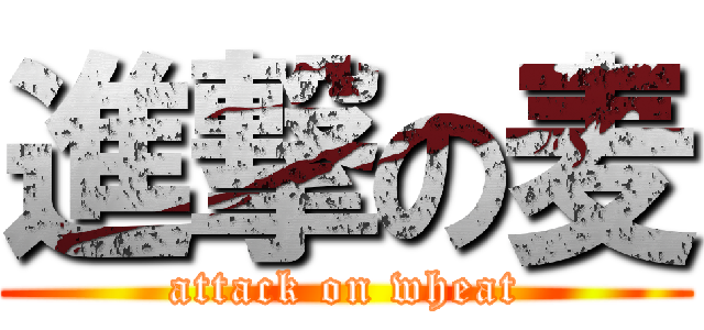 進撃の麦 (attack on wheat)