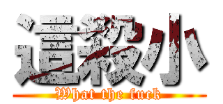 這殺小 (What the fuck)