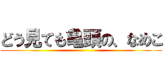 どう見ても亀頭の、なめこ ()