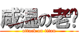 咸湿の老汉 (attack on titan)