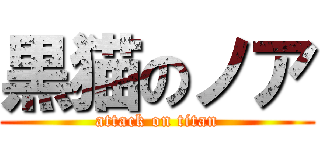 黒猫のノア (attack on titan)