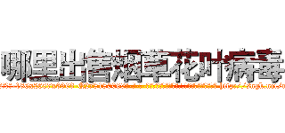 哪里出售烟草花叶病毒 (哪里出售烟草花叶病毒【电-186x2687x6963-Q278180069元-吉-药-业】我们做的是长期生意,靠的是老客户长期支持 http://sngk.net/nqqkrL
)