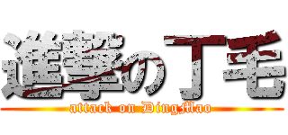 進撃の丁毛 (attack on DingMao)