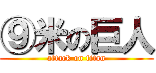 ⑨米の巨人 (attack on titan)