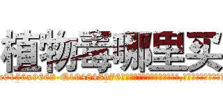 植物毒哪里买 (植物毒哪里买【电.话186x0156x9662-Q194843976林氏药业】我们做的是长期生意,靠的是老客户长期支持
参考消息网2月20日报道 韩媒称，“剩女多、离婚率高的城市，房价一定会上涨。”这是中国经济学家金岩石2016年12月参加在上海举行的房地产相关论坛时说的话。
)