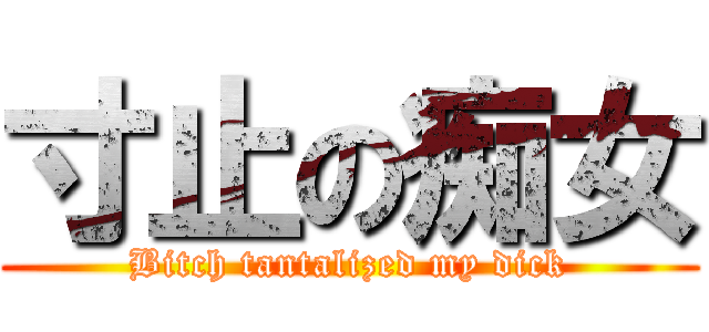 寸止の痴女 (Bitch tantalized my dick)