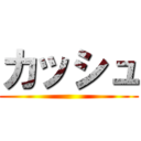 カッシュ ()