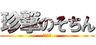 珍撃のそちん (？？？？)