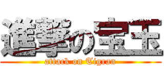 進撃の宝玉 (attack on Tigran)