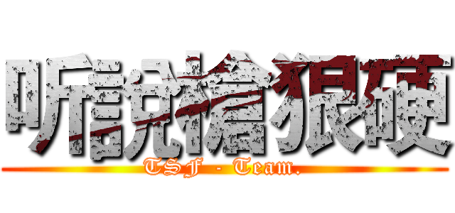 听說槍狠硬 (TSF - Team.)