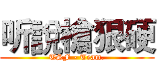 听說槍狠硬 (TSF - Team.)