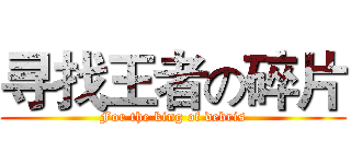 寻找王者の碎片 (For the king of debris)
