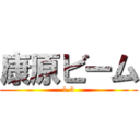 康原ビーム (1.3)