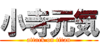 小寺元気 (attack on titan)