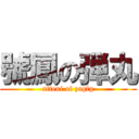 號鳳の弾丸 (atteui of zagfg)