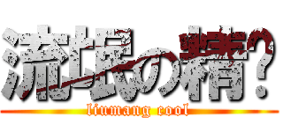 流氓の精爷 (liumang cool)