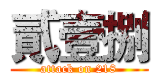 貳壹捌 (attack on 218)