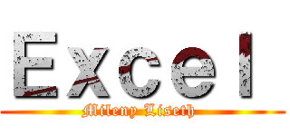 Ｅｘｃｅｌ  (Mileny Liseth )