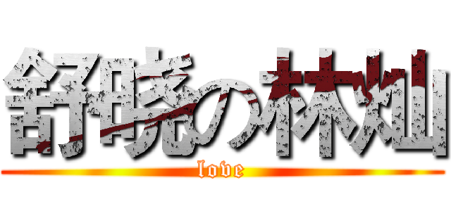 舒晓の林灿 (love)