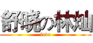 舒晓の林灿 (love)