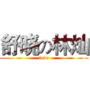 舒晓の林灿 (love)