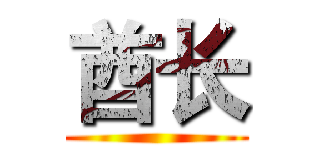 酋长 ()