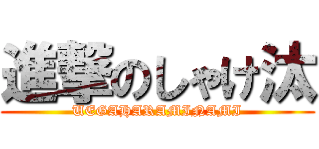 進撃のしゃけ汰 (UEGAHARAMINAMI)