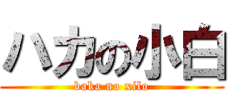 ハカの小白 (baka no xilo)