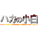 ハカの小白 (baka no xilo)