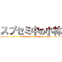 スプセミ中の小林 (attack on titan)