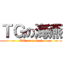 ＴＧの海燕 (TG on petrel)