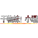 干物妹！小埋 (Doma Umaru)