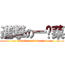 進撃の一棵菜 (attack on miaomiao)