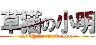 草猫の小明 (cat f@cker suikeming)