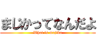 まじかってなんだよ (What is majika)