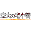 空大の宅小智 (attack on titan)