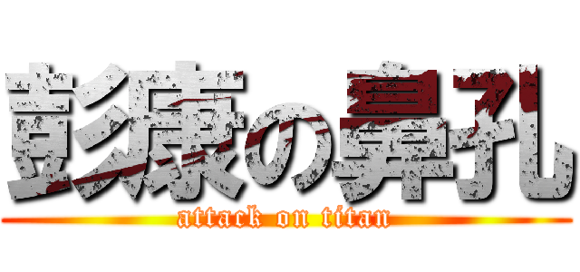 彭康の鼻孔 (attack on titan)