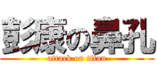 彭康の鼻孔 (attack on titan)