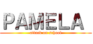 ＰＡＭＥＬＡ  (attack on school)