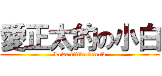 愛正太的の小白 (Love little friend)