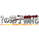 🍟の弟子鏡花 (attack on titan)