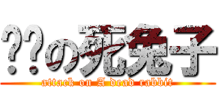 进擊の死兔子 (attack on A dead rabbit)